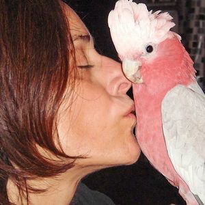 Meet your Posher, Nanci